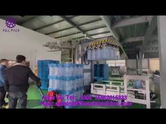 2163 V11 Column-Mounted Cantilever Gallon Palletizer