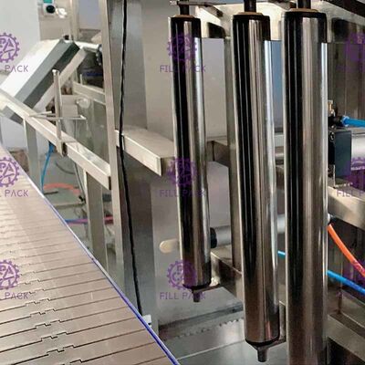 3400*1000*1750 SUS304 18.9L 300 BPH 갤런 수생 식물 협력 업체